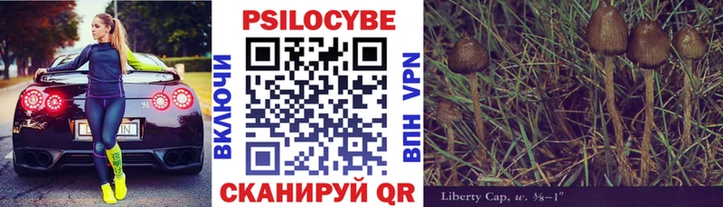 Псилоцибиновые грибы Psilocybine cubensis  Находка 