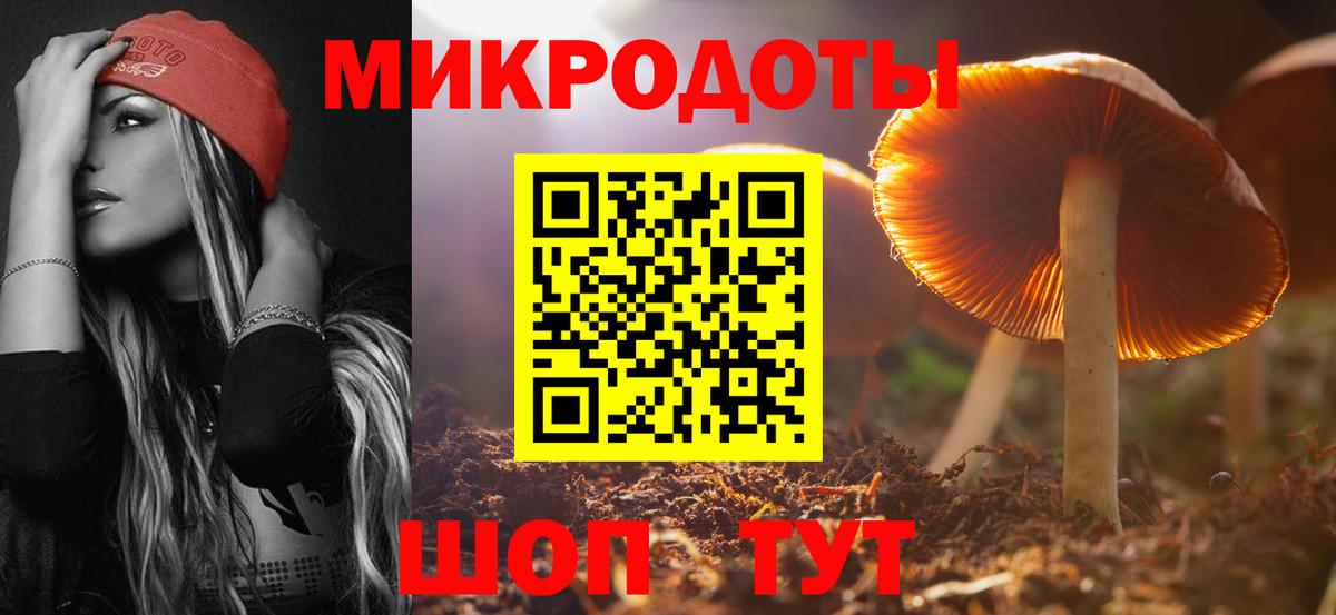 Псилоцибиновые грибы Magic Shrooms  цены   Вход с VPN  Находка  Галлюциногенные грибы мицелий 