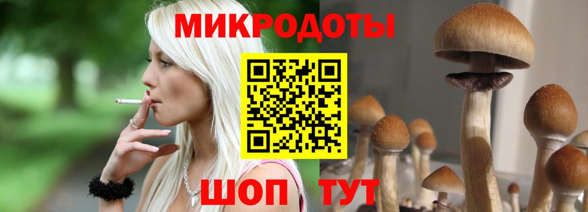 Галлюциногенные грибы мицелий Находка